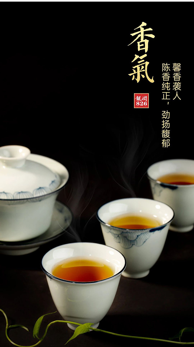 龙润茶826熟茶