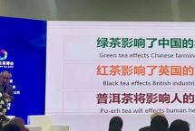 解读普洱茶市场发展周期律