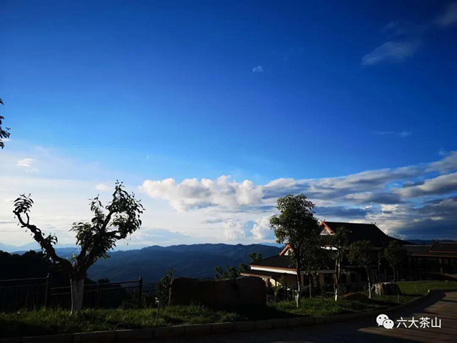 六大茶山贺开庄园
