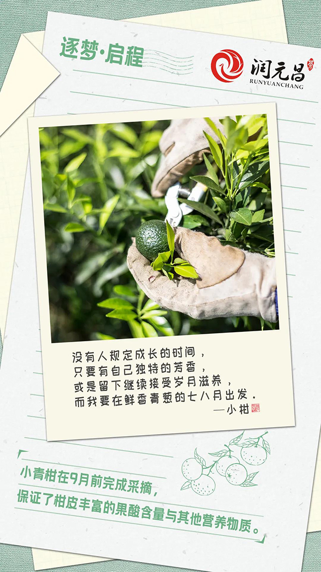 润元昌茶业