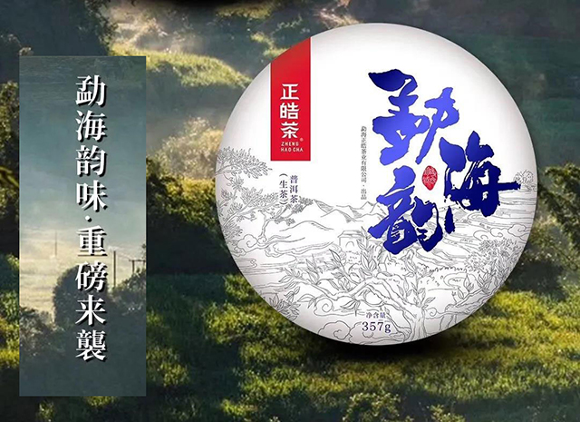 正皓茶勐海韵勐海味普洱茶