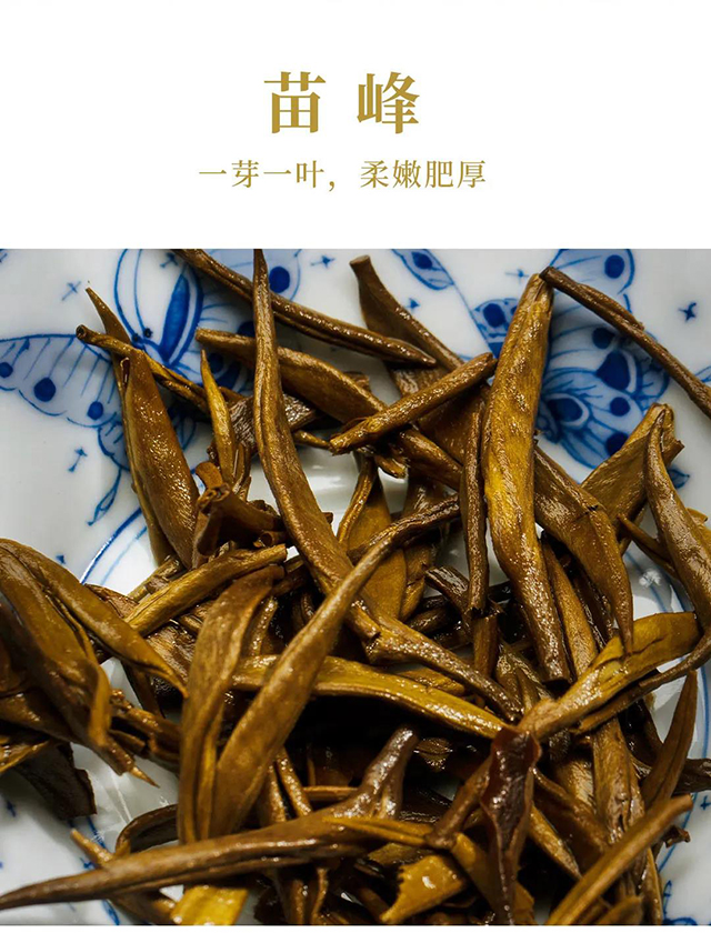 龙润大金芽传承1958红茶