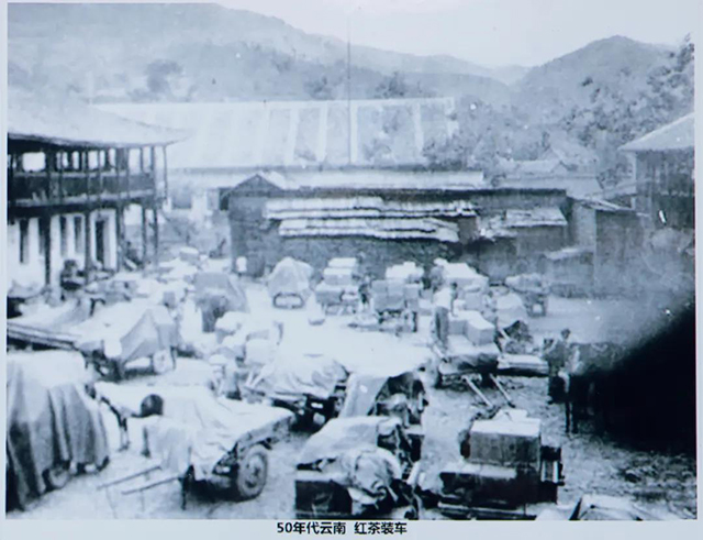 50年代云南红茶历史图片