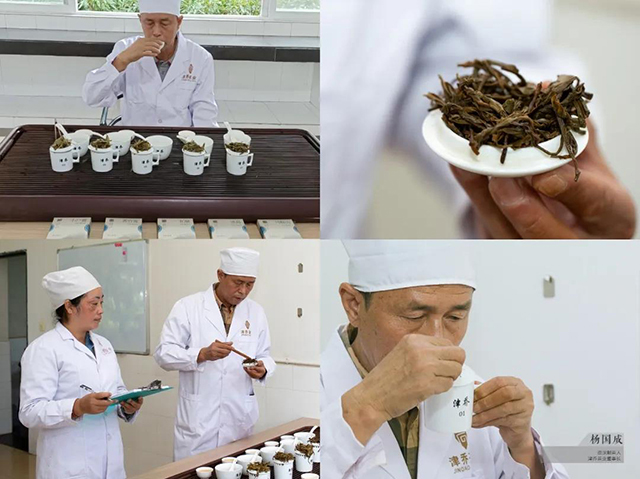 津乔普洱临沧十二味普洱茶