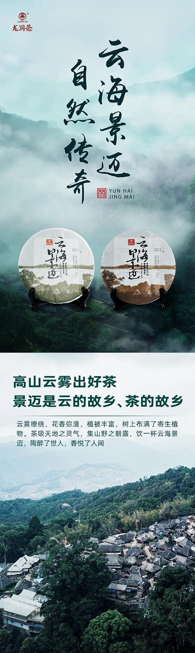 龙润茶云海景迈普洱茶