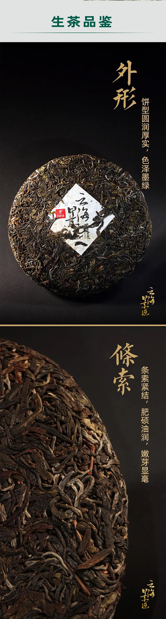 龙润茶云海景迈普洱茶