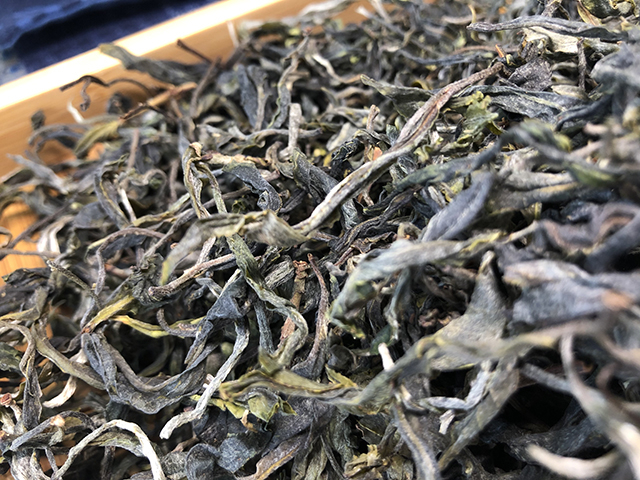第一次试品勐麻河单株