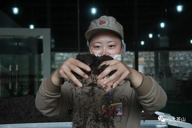 六大茶山有机茶
