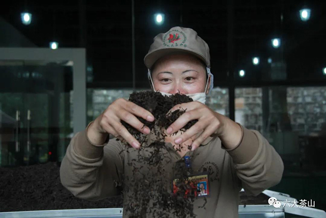 六大茶山有机茶