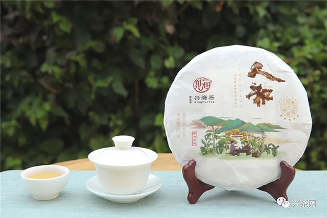 佳兆业兴海茶人和五星生茶