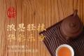 品味经典的岁月留芳：合和昌2011年「和润」中期茶