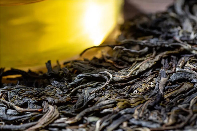 津乔普洱茶
