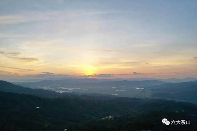 六大茶山