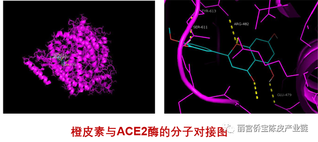 丽宫侨宝陈皮产业