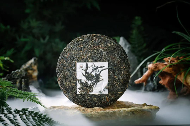 六大茶山观山海普洱茶