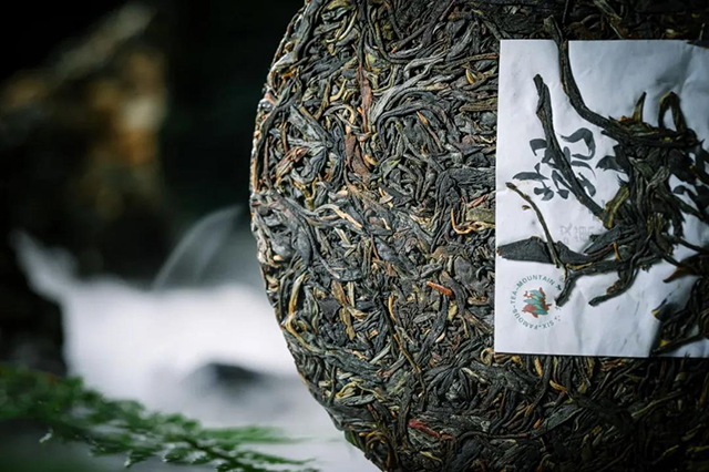 六大茶山观山海普洱茶