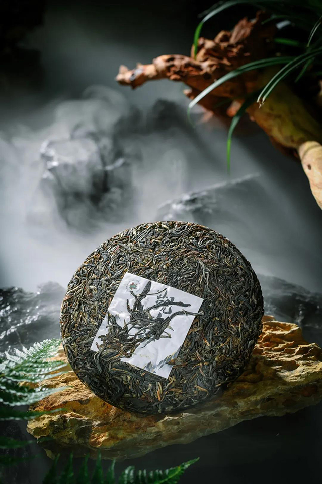六大茶山观山海普洱茶