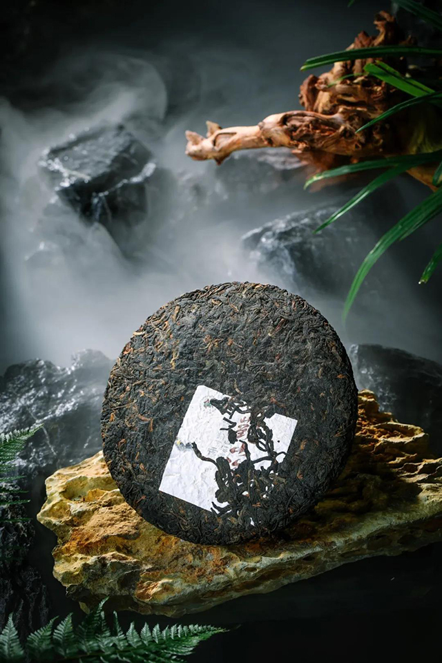 六大茶山观山海普洱茶