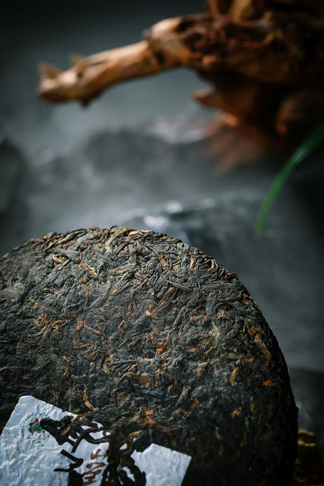 六大茶山观山海普洱茶