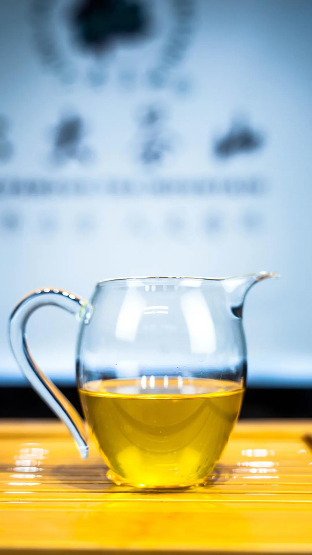 六大茶山观山海普洱茶