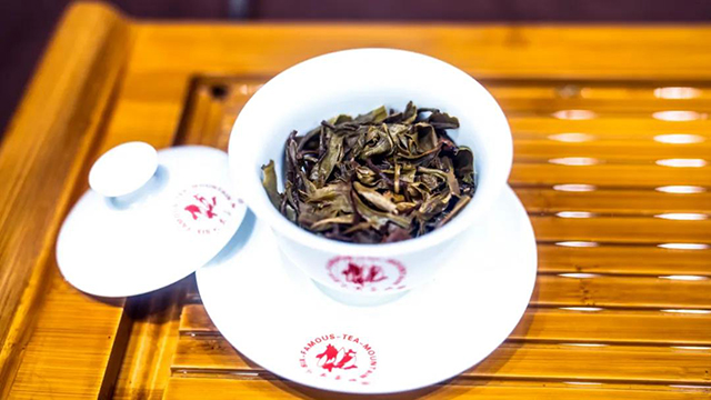 六大茶山观山海普洱茶