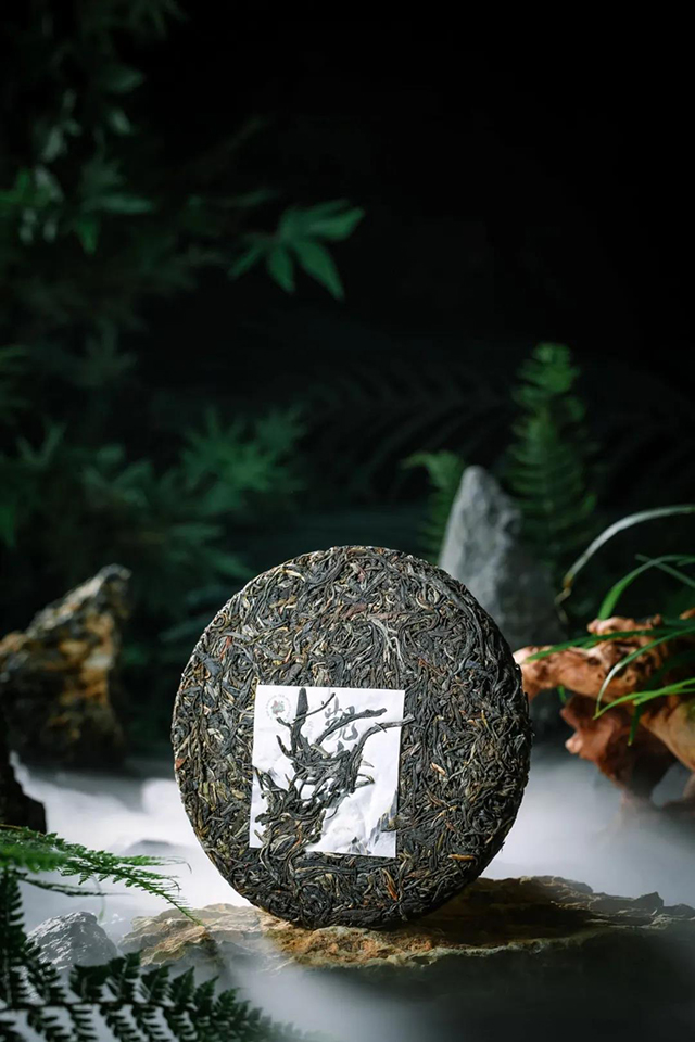 六大茶山观山海普洱茶