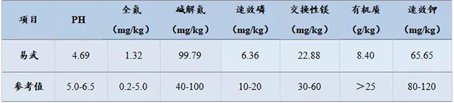 下关沱茶巅峰易武茶