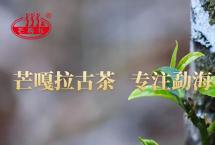 普洱茶“拍了拍”新会柑，是你的“小心肝”吗？