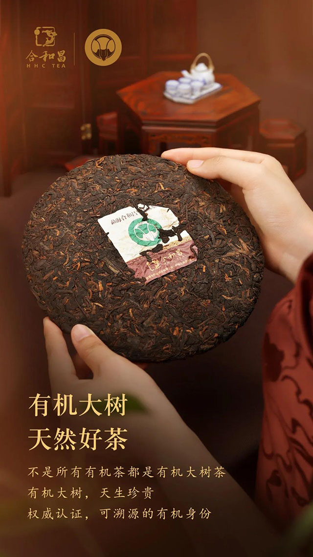 合和昌首款有机大树熟茶