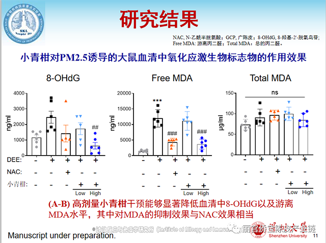 小青柑研究