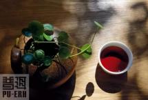 普洱杂志：普洱茶的回甘与回甜，是同一回事吗？