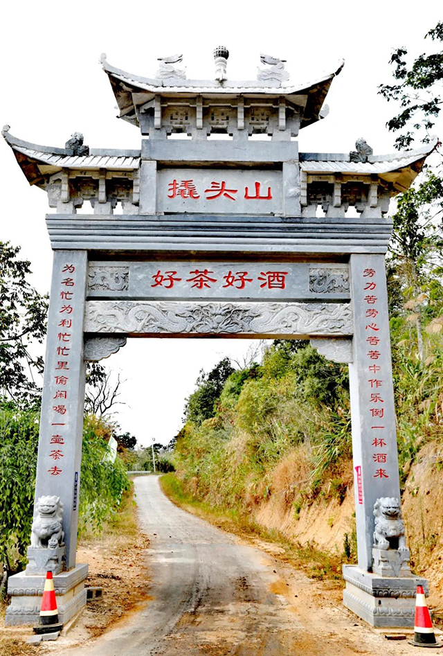 革登古茶山