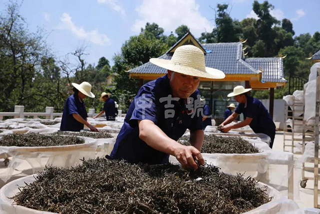 中吉号茶业