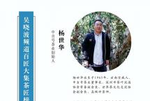 遵循天养，挚守本味：中吉号匠人精神之勐海古茶园