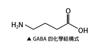 普洱茶密码氨基丁酸