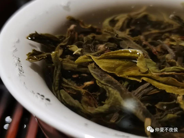 忙肺古树茶