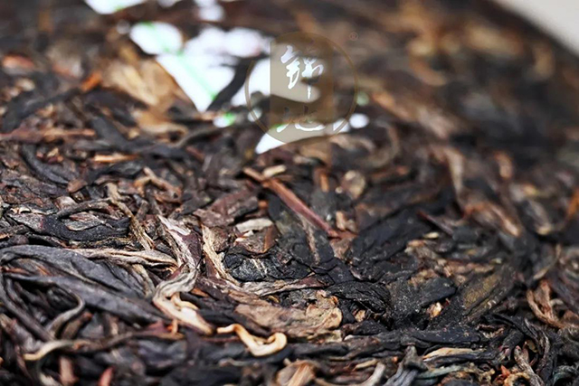 锦地茶业香椿林普洱茶生茶