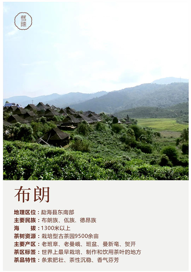 双陈名山定制茶