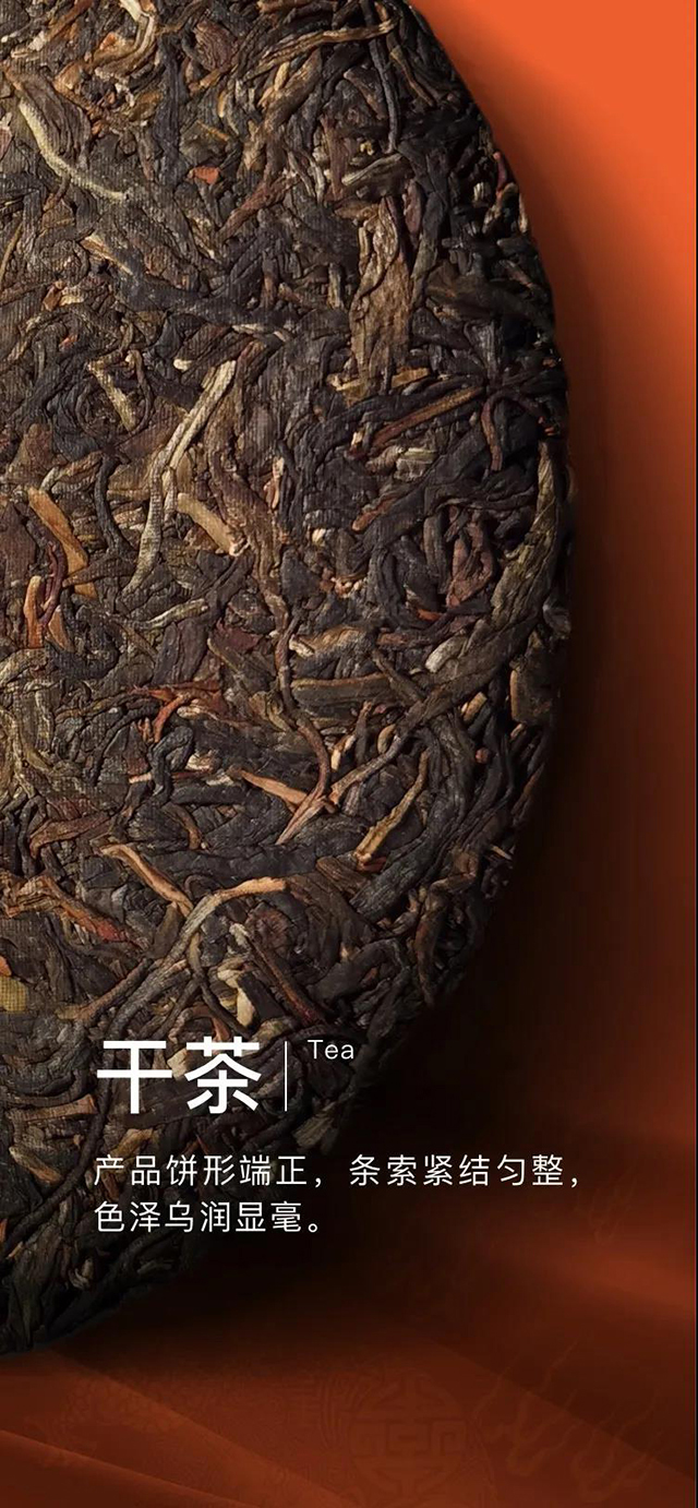 大益7742普洱茶生茶