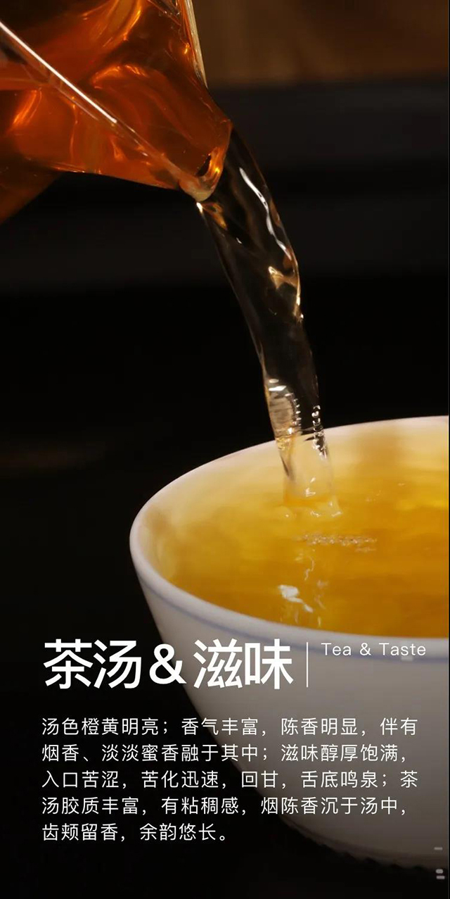 大益7742普洱茶生茶