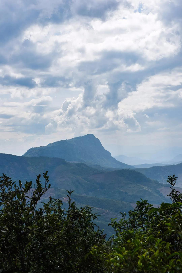 古六大茶山孔明山