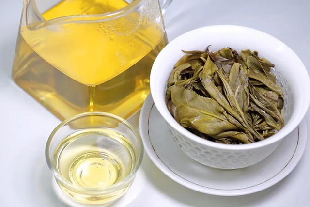 古六大茶山革登普洱茶