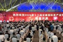 安徽茶博会引爆企业热情，参展商增长317%！