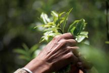 「戎茶学堂」茶能发展到今天，都靠它