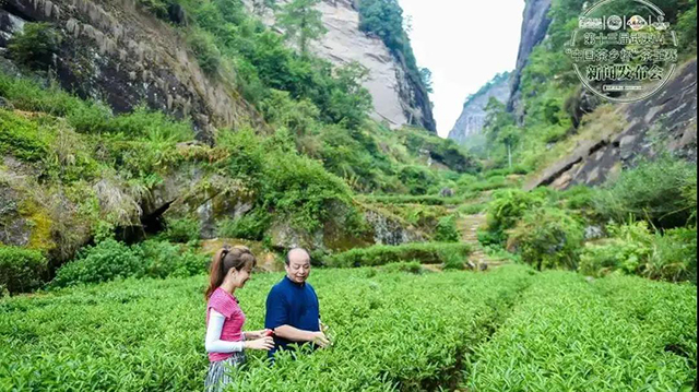 中国制茶大师刘远明在位于牛栏坑的茶园进行讲解