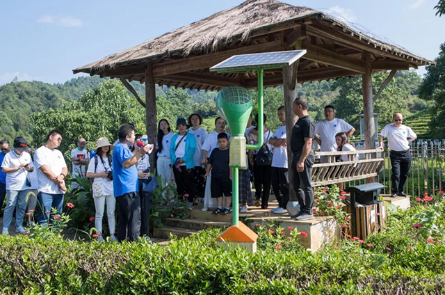 祥源茶2020祁门红茶研学游