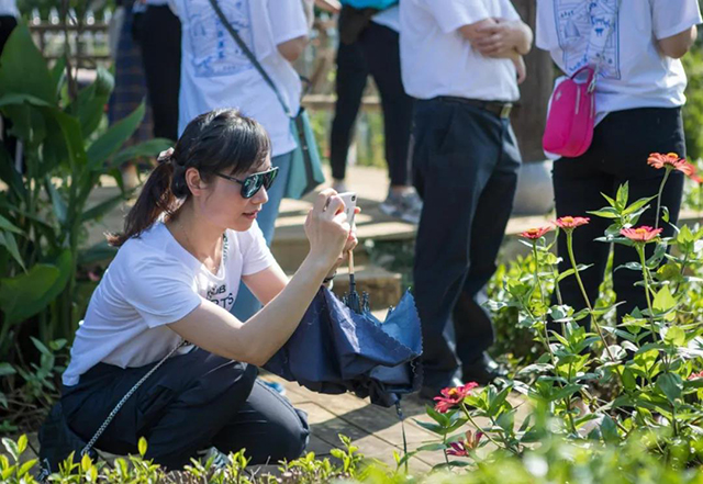 祥源茶2020祁门红茶研学游