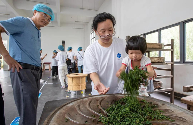 祥源茶2020祁门红茶研学游