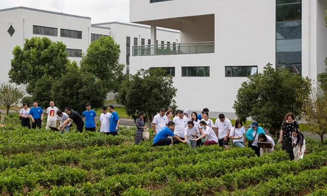 祥源茶2020祁门红茶研学游