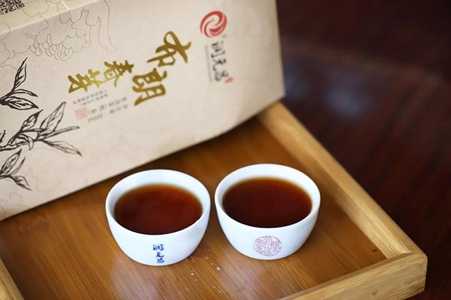 润元昌布朗春芽熟茶礼品茶
